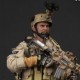 DAM NAVY SEAL OPERATION RED WINGS 1/6TH Scale Figure