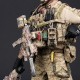 DAM DEVGRU Operation Neptune Spear 1/6TH Scale Figure