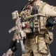 DAM DEVGRU Operation Neptune Spear 1/6TH Scale Figure