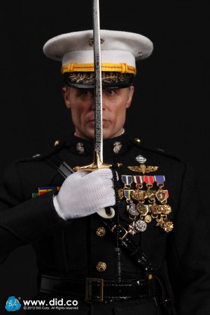 DID BRIGADIER GENERAL GENERAL Frank 1/6TH Scale Figure