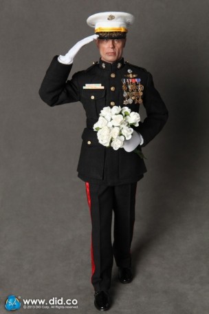 DID BRIGADIER GENERAL GENERAL Frank 1/6TH Scale Figure