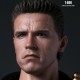 Hot Toys TERMINATOR 2 T-800 1/6TH SCALE FIGURE