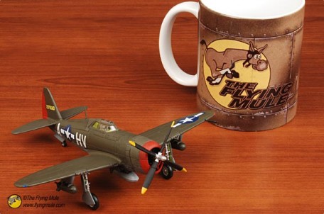 Forces of Valor 85065 1:72 U.S. P-47D THUNDERBOLT