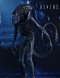 Hot Toys ALIENS ALIEN WARRIOR 1/6TH Scale Figure