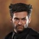 Hot Toys THE WOLVERINE 1/6TH Scale Figure