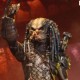 Hot Toys PREDATOR 2 ELDER PREDATOR 1/6TH SCALE  FIGURE