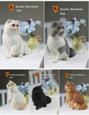 MR.Z Exotic Shorthair Cat (Garfield) 1/6TH Scale Statue