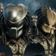 Sideshow Predator Legendary Scale Bust